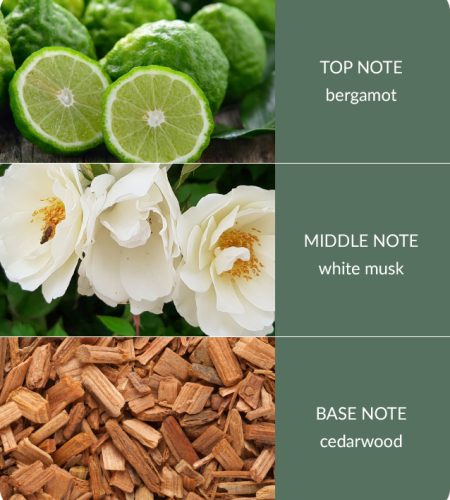 Cedarwood-White-Musk.jpg