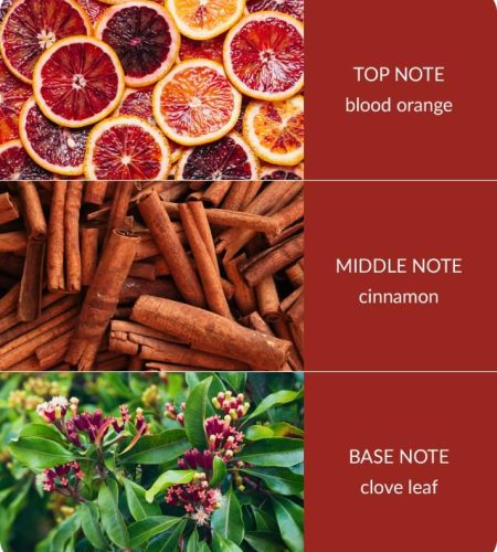 Notes-Orange-Zest-and-Clove-Oil-Medium-1.jpg